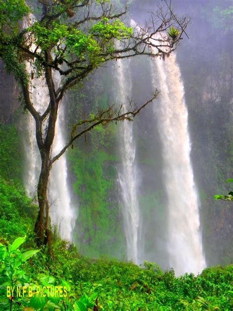 Petites Chutes En Face Des Gigantesques Chutes D Ekom Nkam Moungo