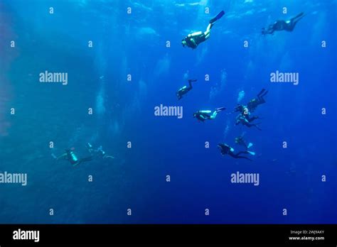 Group Of A Dozen Scuba Divers Swim In The Deep Blue Ocean Approaching A