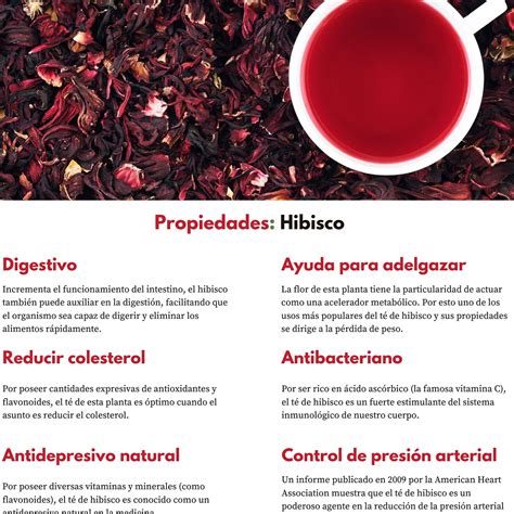 Para Qu Sirve La Infusi N De Hibisco Beneficios Y Propiedades