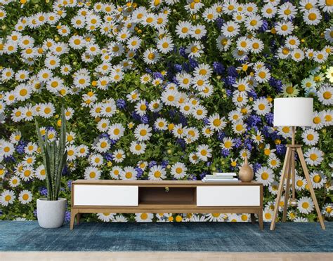 Daisy Flowers Wallpaper Textured Peel And Stick Floral Wall Etsy