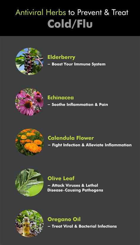 Heal Faster with Natural Remedies for Cold and Flu – The Amino Company