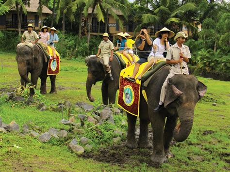 Bali Safari Marine Park And Jimbaran Day Tour
