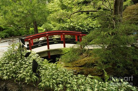 Japanese Bridge in Butchart Gardens Photograph by Brenda Kean - Pixels