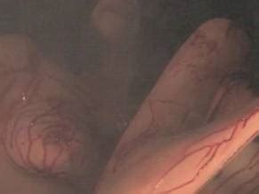 Creature Feature Nude Scenes Aznude