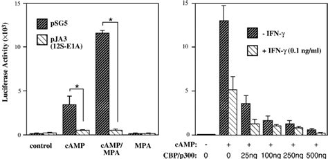 Role Of Cbp P In Stat Mediated Repression Of The Dprl Promoter A