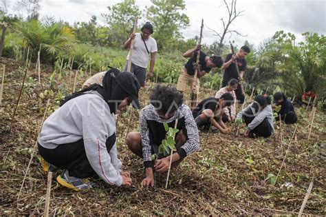 Aksi Tanam Pohon Memperingati Hari Hutan Sedunia Antara Foto