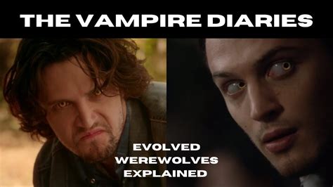 Evolved Werewolves Explained Creature Of The Vampire Diaries And The