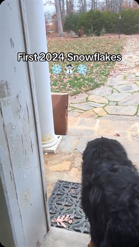 White Oaks Farm | They’ve waited sooooo long through the brutal summer