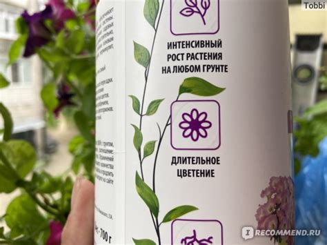 ZION Ионитный субстрат для цветов - «Комнатные растения расцвели все ...