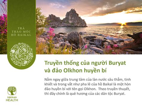 Целебные травы сибири - 57 фото