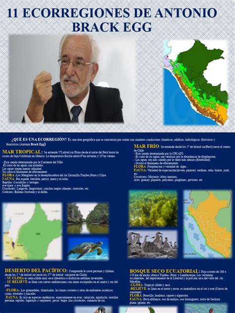 11 Ecorregiones De Antonio Brack Egg 12 Pdf Andes Zona Tropical