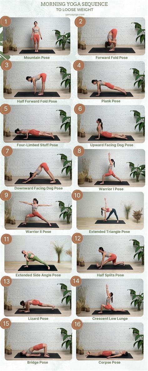 10 Min Morning Yoga Sequence To Loose Weight | Morning yoga, Evening