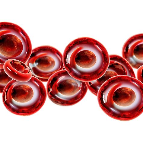 Red Blood Cells Png Images 100