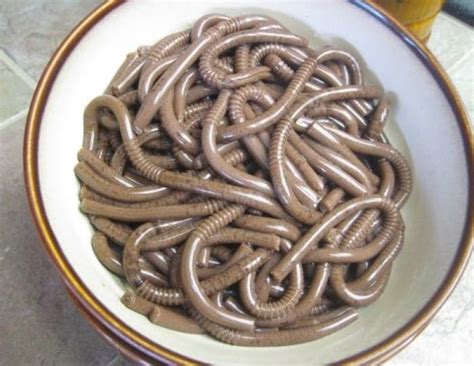 Червячки рецепт