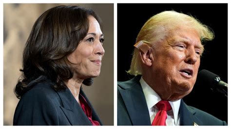 Kamala Harris Vs Donald Trump What Polls Tell Us