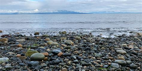 Visit Parksville Qualicum Beach Official Travel Guide Parksville