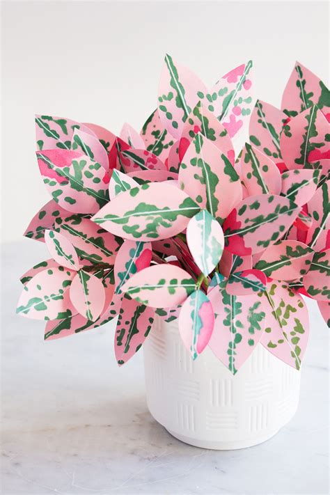 Meet The Woman Behind These Stunning Paper Plants And Learn How To