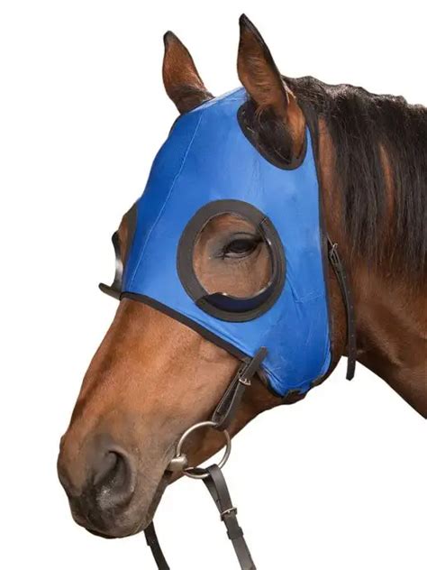 Как называется намордник для лошади? >> Лошади | Саввушкин Двор