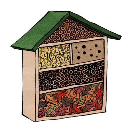 Bug Hotel Botanics Stories