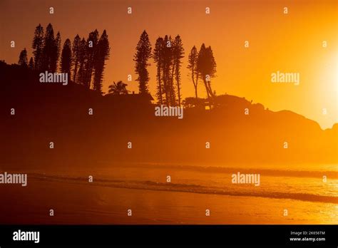 Sunrise On Ocean Beach With Waves And Rocks With Trees Joaquina Beach