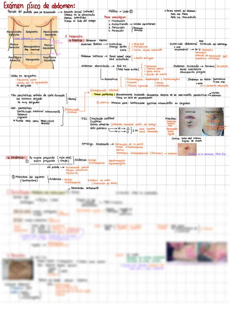 SOLUTION Examen F Sico De Abdomen Semiolog A De Argente Studypool