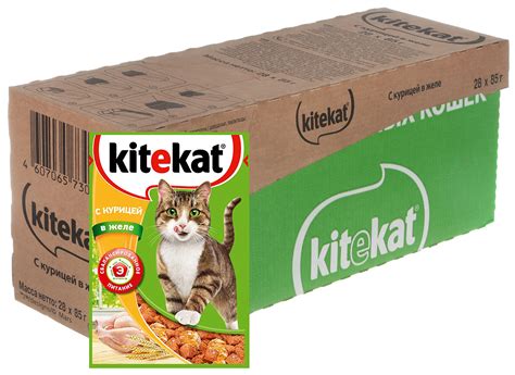 Kitekat («Китикет»): плюсы и минусы корма для кошек, его состав, виды ...