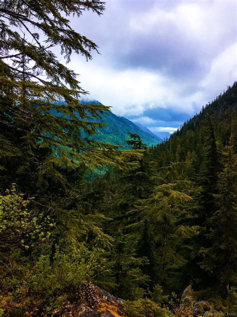 Bedwell Lake Trail, Strathcona Provincial Park: Ultimate Guide ...