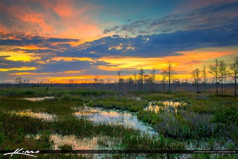 Florida Sunset Over Wetlands at the Loxahatchee Slough