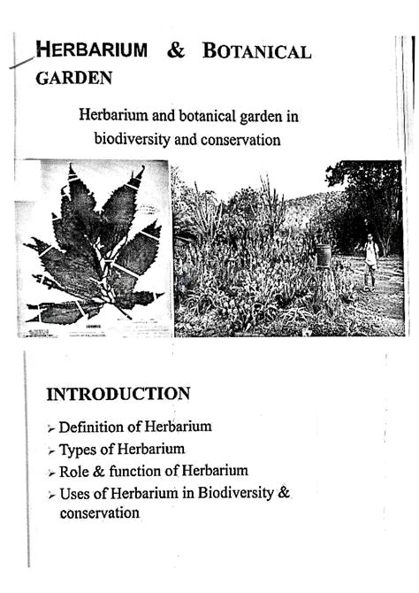 SOLUTION: Her barium and botanical garden - Studypool