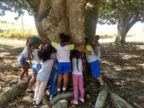 Abraço simbólico abre comemoração ao Dia da Árvore na Escola Quilombola