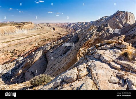 Monocline
