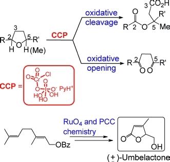 Insight into Pyridinium Chlorochromate Chemistry: Catalytic Oxidation ...