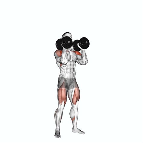 dumbbell push exercises  pictures inspire