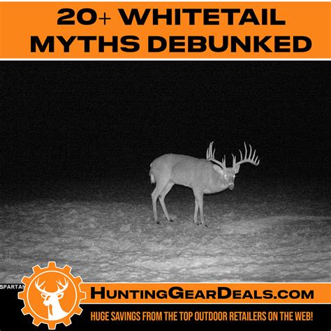 20+ Whitetail Myths Debunked