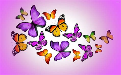 Purple Butterfly Wallpapers 63 Images