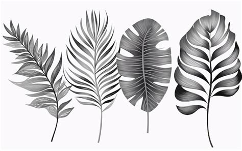 black  white illustration    leaves generative ai
