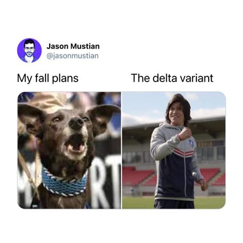 There Are Just Too Many Hilarious “fall Plans Vs Delta Variant Memes