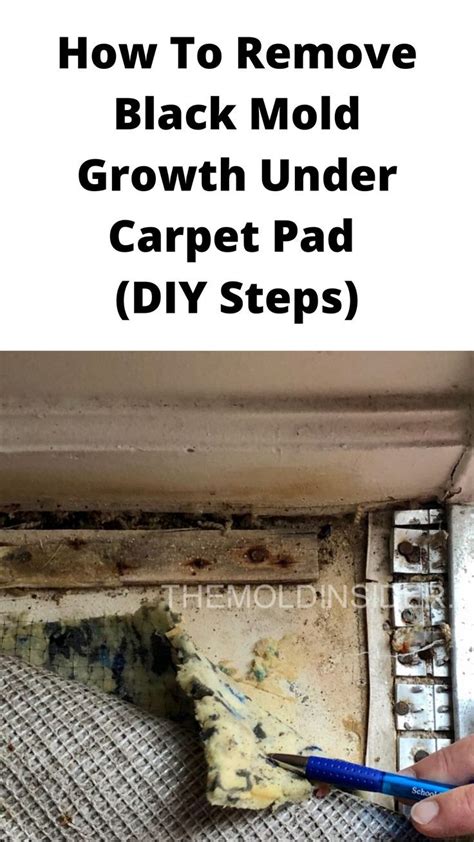 How To Remove Black Mold Growth Under Carpet Pad Diy Steps Carpet