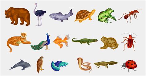 Como é Feita A Movimentação Dos Animais Invertebrados