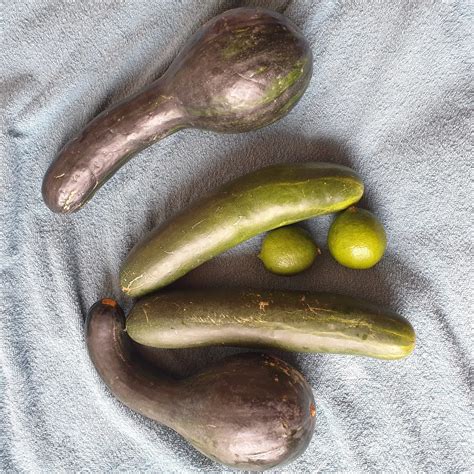 My Big Veggy Ready To Ram My Asshole Nude Pics XHamster