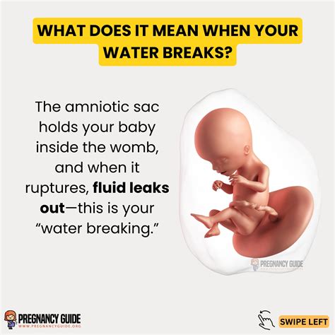 Pregnancy Guide