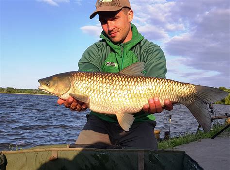 Карповая прикормка CARP PRO Active Mix – FlagmanShop