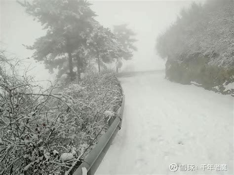 山中的第一场雪 今儿大山中徒步，适逢2020年的第一场雪。走在大雾的雪中，前路若隐若现，路上空无一人。脚踩白雪“咯吱、咯吱”的响声和着雪