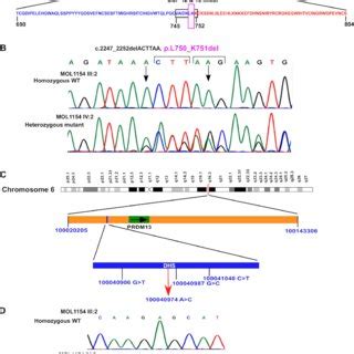 partial amino acid sequence alignment   cfh protein  red box