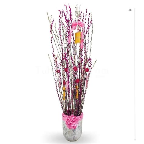 Pussy Willow Arrangement Pink Rabbit Toh Garden Singapore Orchid Plant Flower Grower