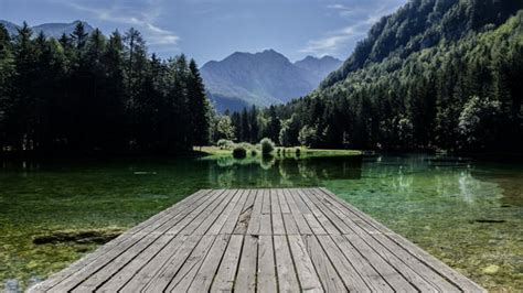 Lake Trees Water Free Stock Video Pixabay