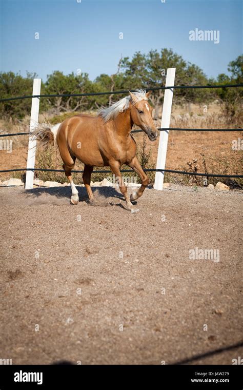 Ranch Hintergrund Hi Res Stock Photography And Images Alamy