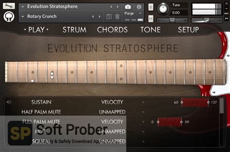 Features Of Orange Tree Samples Evolution Stratosphere