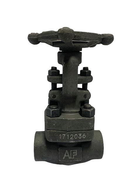 Threaded End Forged Steel Gate Valve CHUAN KOK