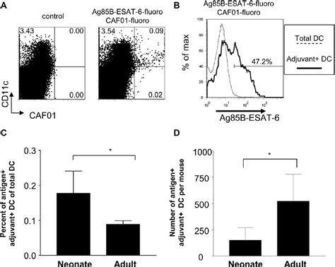 Figure 1 From A Liposome Based Mycobacterial Vaccine Induces Potent